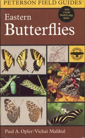 A Field Guide to Eastern Butterflies (Peterson Field Guides (R))