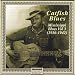Mississippi Blues Vol.3: Catfish Blues 1936-1942