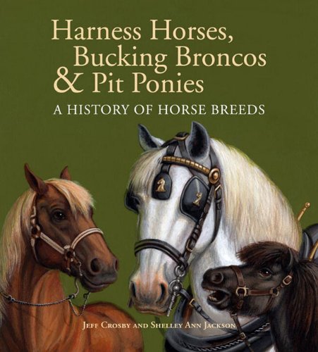 Harness Horses, Bucking Broncos & Pit Ponies: A History of Horse Breeds