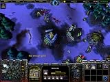 WarCraft III: Reign of Chaos Collector's Edition