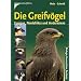 Alles über Greifvögel