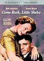 Come Back Little Sheba [DVD]