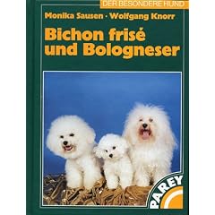 Bichon frise und Bologneser