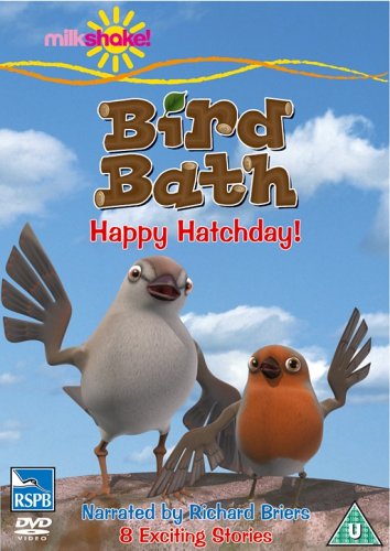 Bird Bath