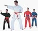 Sporting Goods : Blue Fighter Plus Karate Middle Weight Uniform (Size 3) from Starpak