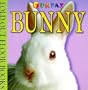Fold-Out Board Books: Bunny