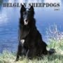 Belgian Sheepdogs 2005 Wall Calendar