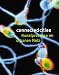 Connected Cities: Processes of Art in the Urban Network