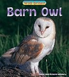 Barn owl