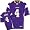 Minnesota Vikings Purple