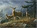 Tuf Top Cutting Boards Deer Autumn Whitetail Cutting Board - Small