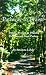 Search : Pathway to Praise: Poems, Prayers & Praises Paraphrased from Psalms