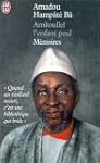 Amkoullel, l'enfant Peul
