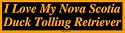 I Love My Nova Scotia Duck Tolling Retriever Large Bumper Sticker