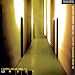Les Must: Compilation, Vol. 11
