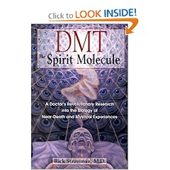 DMT: The Spirit Molecule: A Doctor's Revolutionary Research into the Biology of Near-Death and Mystical Experiences
