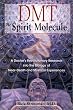DMT: The Spirit Molecule: A Doctor's Revolutionary Research into the Biology of Near-Death and Mystical Experiences