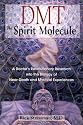 DMT: The Spirit Molecule: A Doctor's Revolutionary Research into the Biology of Near-Death and Mystical Experiences