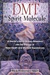 DMT: The Spirit Molecule: A Doctor's Revolutionary Research into the Biology of Near-Death and Mystical Experiences