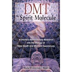 Dmt: the Spirit Molecule: A Doctor's Revolutionary Research into the Biology of near-Death and Mystical Experiences