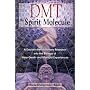 Dmt: the Spirit Molecule: A Doctor's Revolutionary Research into the Biology of near-Death and Mystical Experiences