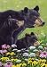 Bear Patrol Flowers - Large House Flag 28 x 40