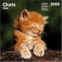Calendrier 2008 Chats - Cats (30X30 cm)