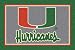 Miami Hurricanes 7' 8" x 10' 9" Team Spirit Area Rug