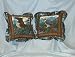 Birds Of Prey 16" zippered throw pillow set
