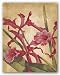 Hawaiian Tropics I by Liz Jardine 11"x14" Art Print Poster