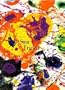 Sam Francis