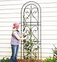 72"H Black Steel Scroll Finial Trellis