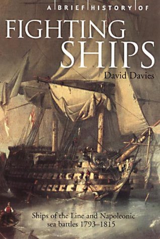 A Brief History of Fighting Ships (Brief Histories)