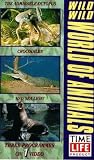 Wild Wild World Of Animals - The Admirable Octopus / Crocodiles / Sea Lion [1992]
