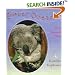 Sweet Dreams: How Animals Sleep