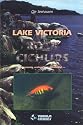 Lake Victoria Rock Cichlids