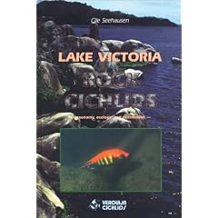 Lake Victoria Rock Cichlids