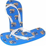My Team Kentucky Wildcats Flip Flops