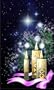Call of the Wild: Christmas Greeting Card: Happy Holidays