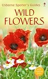 Wild flowers