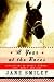 A Year at the Races: Reflections on Horses, Humans, Love, Money, and Luck