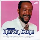 The Very Best of Marvin Gaye by  Marvin Gaye 