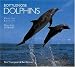 Bottlenose Dolphins: Revised Edition