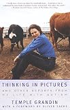 Thinking in Pictures
