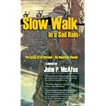 Slow Walk in a Sad Rain: The Catch-22 of Vietnam book cover