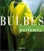 Bulbes parfumés