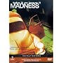Madness - Take It Or Leave It [1981]