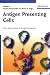 Antigen Presenting Cells: From Mechanisms to Drug Development