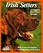 Irish Setters (Complete Pet Owner's Manual)