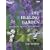 "Gardeners' World": The Healing Garden